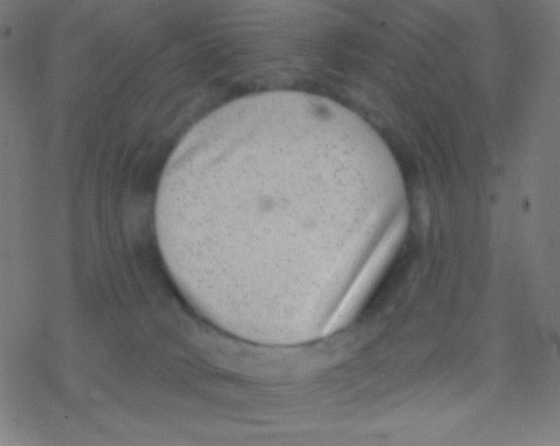 X0000077370034200611101715