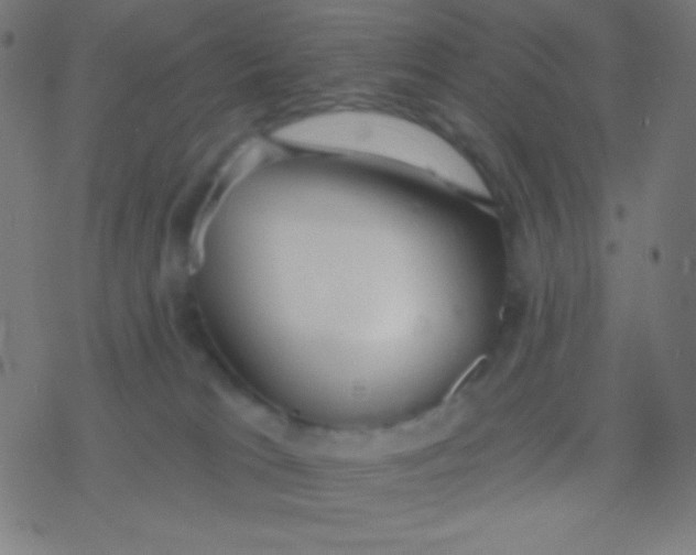 X0000077370037200611101715