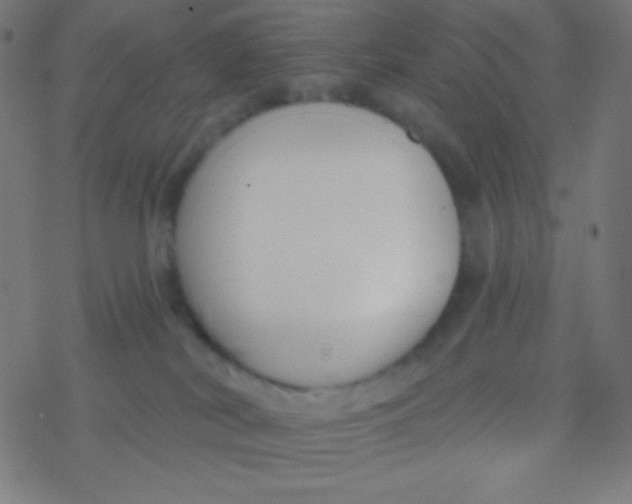 X0000077370038200611101715