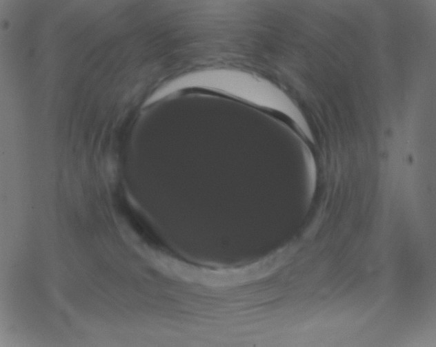 X0000077370039200611101715