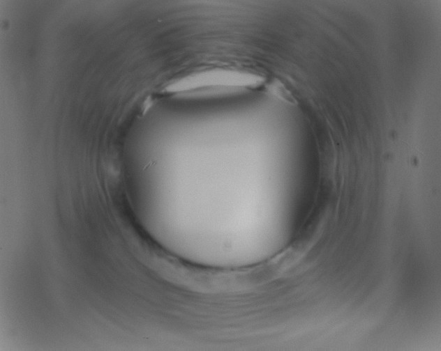 X0000077370040200611101715