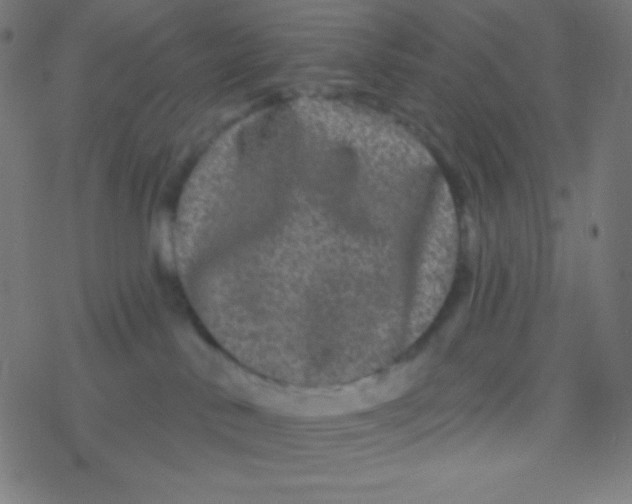 X0000077370042200611101715