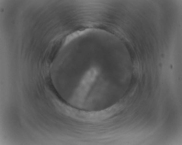 X0000077370043200611101715