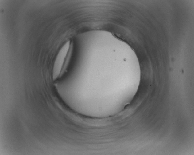 X0000077370044200611101715