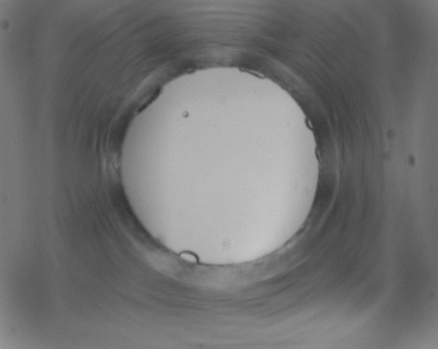 X0000077370045200611101715