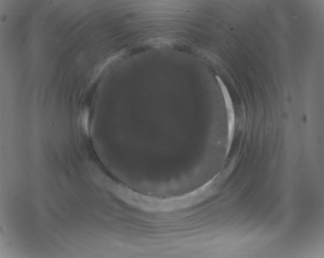 X0000077370047200611101715