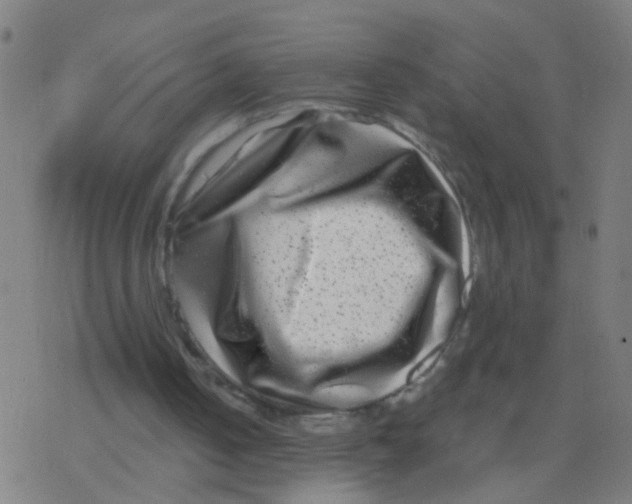 X0000077370050200611101714