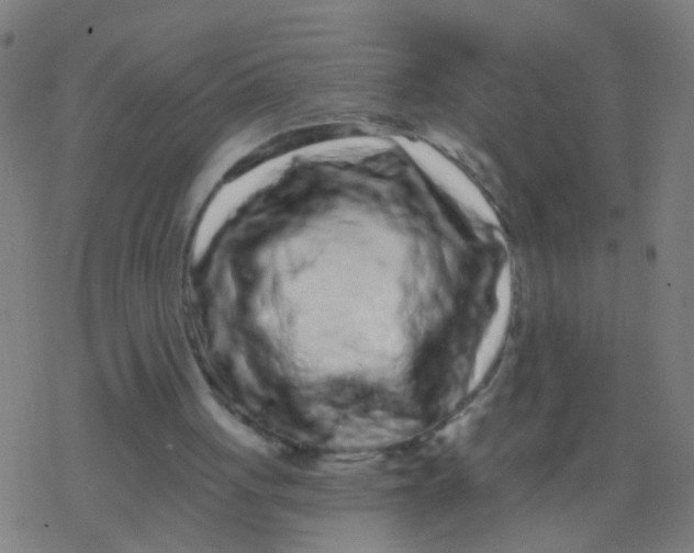 X0000077370051200611101714