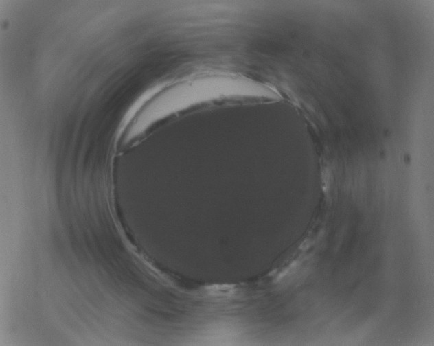 X0000077370052200611101714