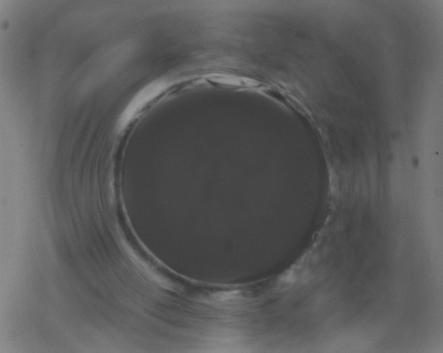 X0000077370054200611101714