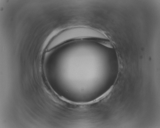 X0000077370056200611101714