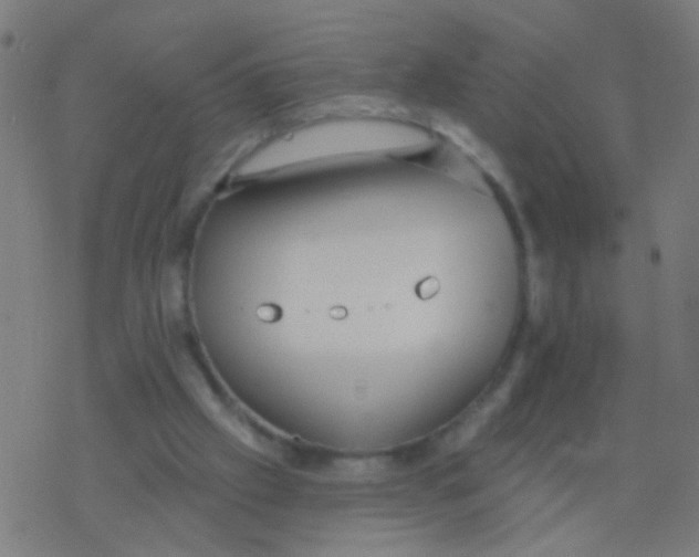 X0000077370057200611101714