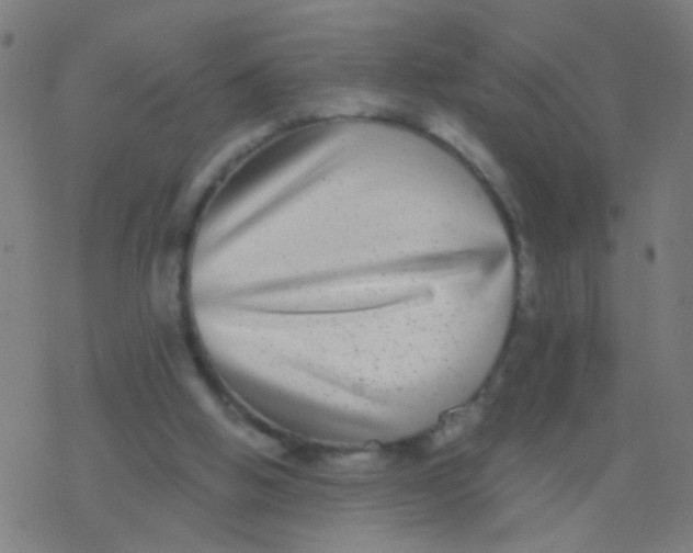 X0000077370058200611101714