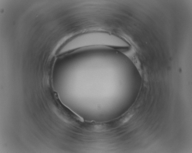 X0000077370060200611101714