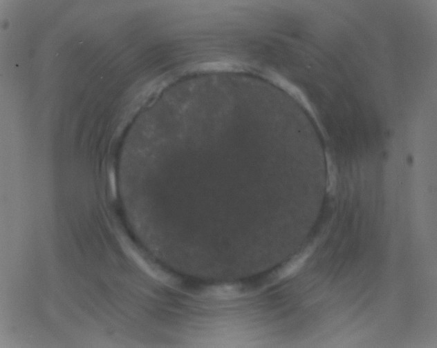 X0000077370061200611101714