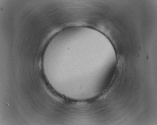 X0000077370063200611101714