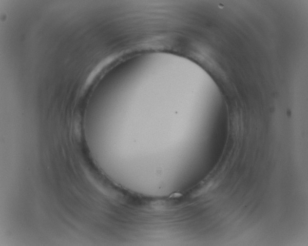 X0000077370064200611101714