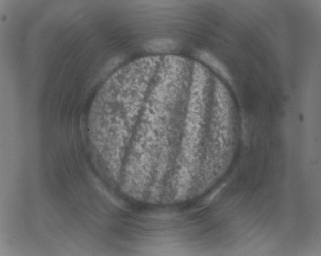 X0000077370065200611101714