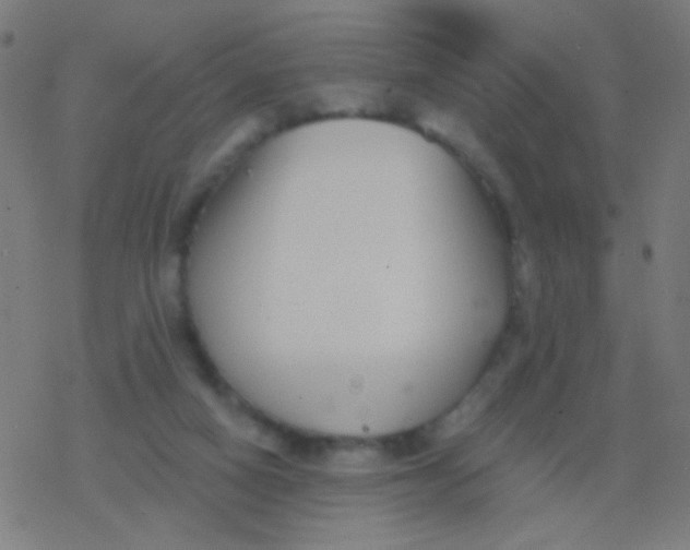 X0000077370066200611101714