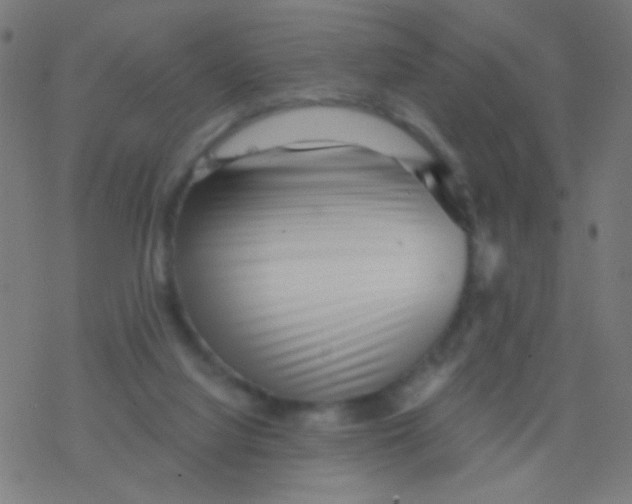 X0000077370068200611101715