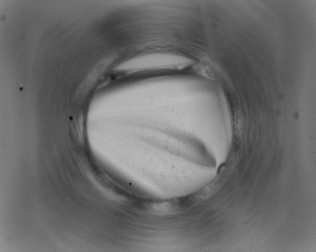 X0000077370070200611101715