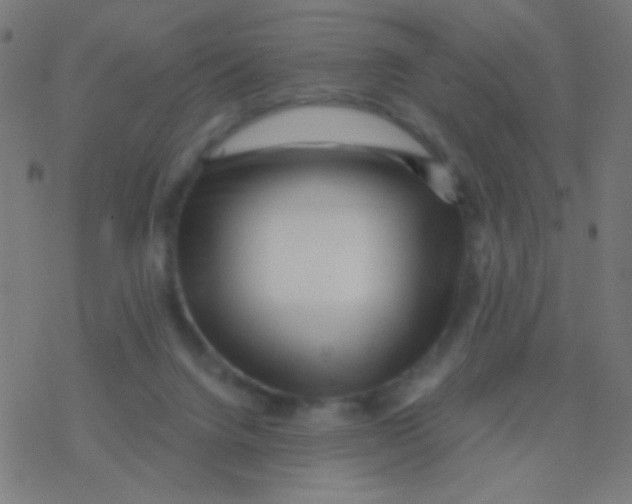 X0000077370072200611101715