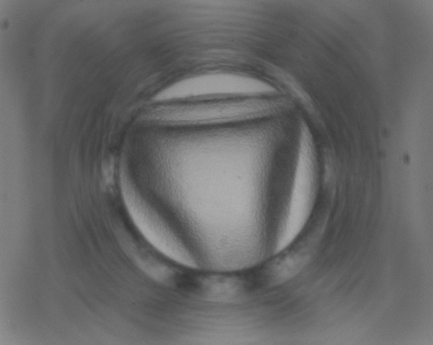 X0000077370073200611101715