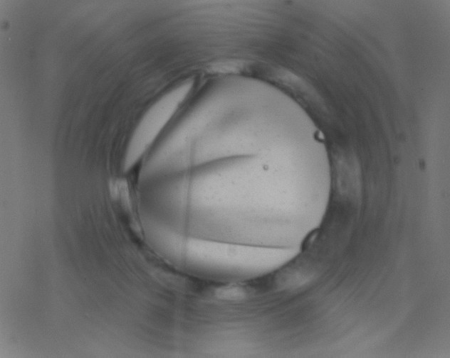 X0000077370075200611101715