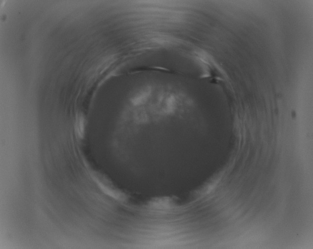 X0000077370076200611101715