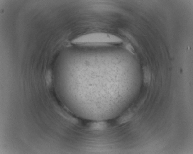 X0000077370077200611101715