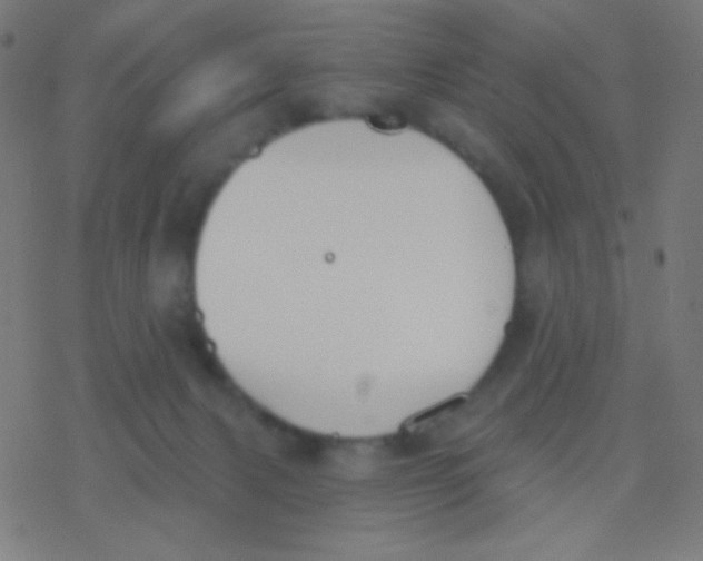 X0000077370079200611101715