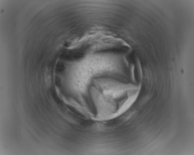 X0000077370080200611101715