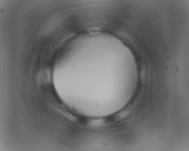 X0000077370081200611101715