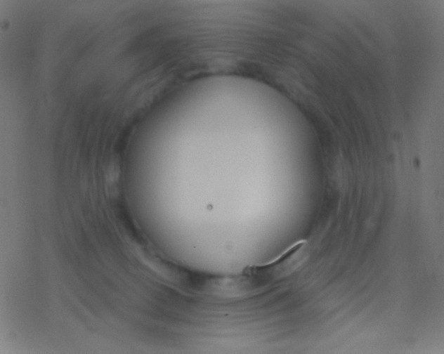 X0000077370082200611101715