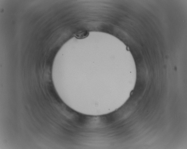 X0000077370083200611101715