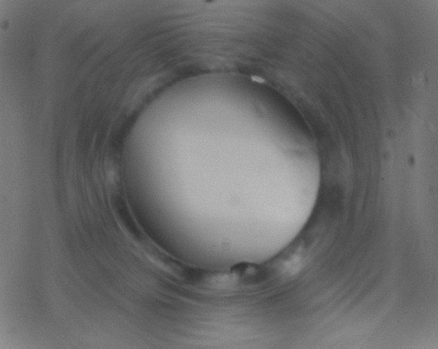 X0000077370084200611101715