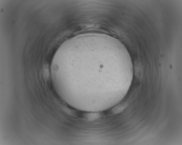 X0000077370085200611101715