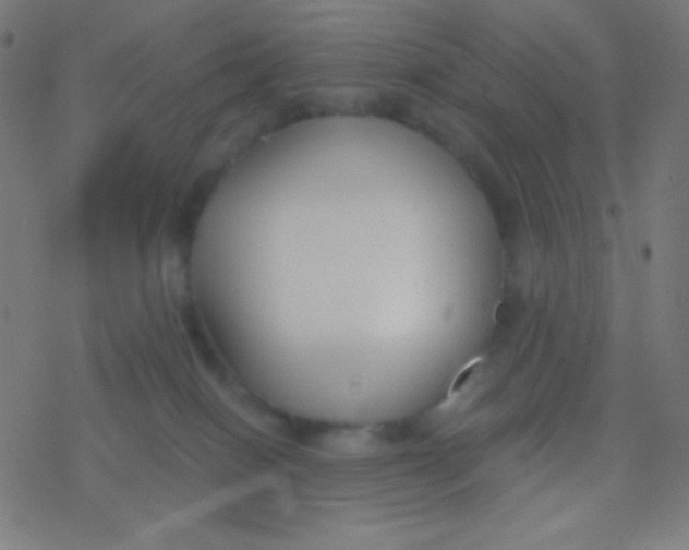 X0000077370086200611101715