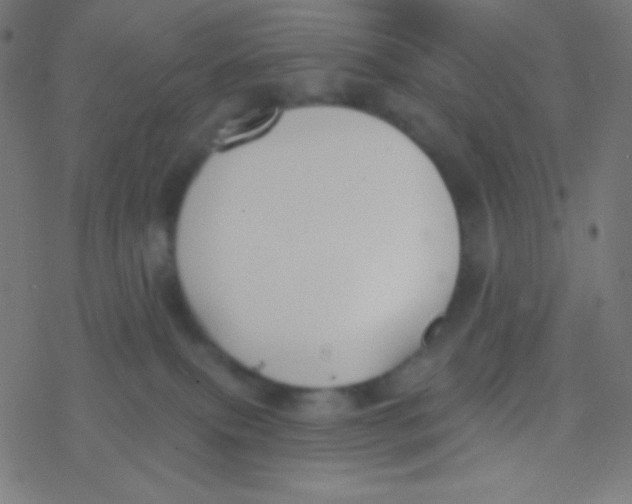 X0000077370087200611101715