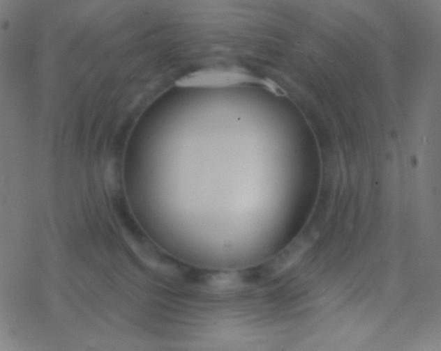 X0000077370088200611101715