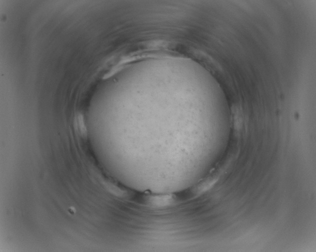 X0000077370089200611101715