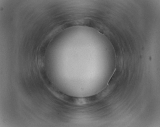 X0000077370091200611101715