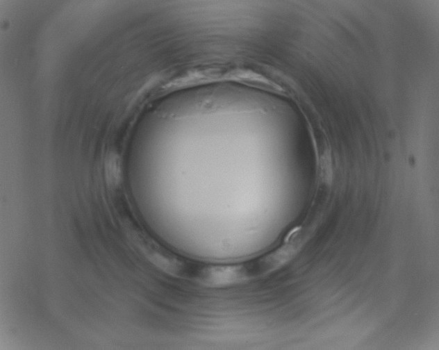 X0000077370093200611101715