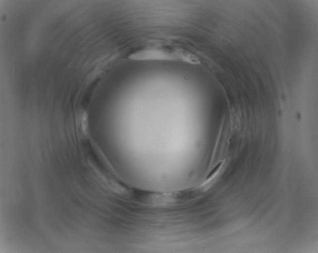 X0000077370094200611101715