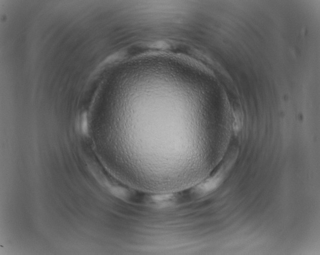 X0000077370095200611101715