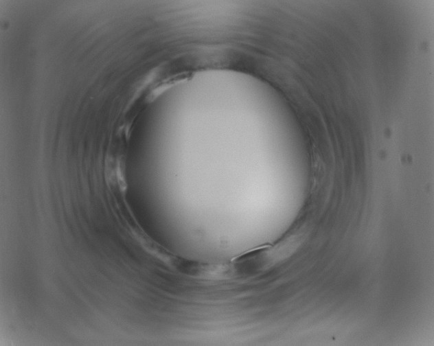 X0000077370096200611101715