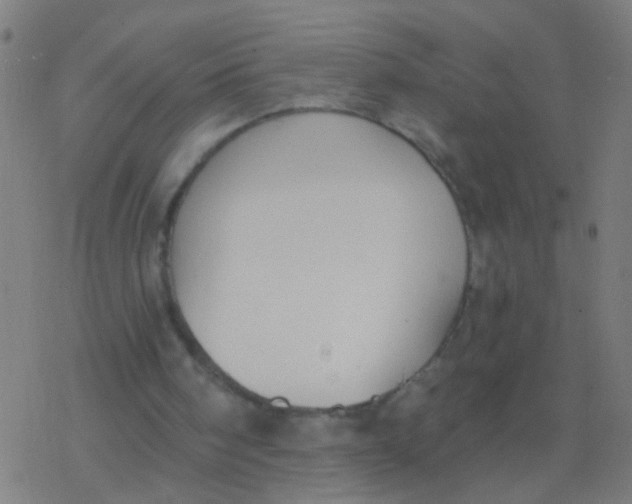 X0000077370098200611101714