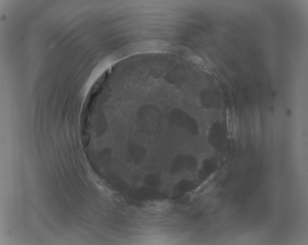 X0000077370099200611101714