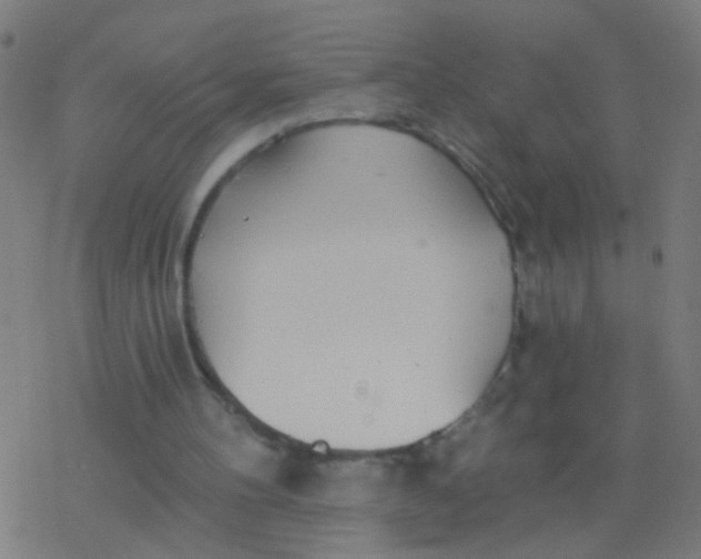 X0000077370100200611101714