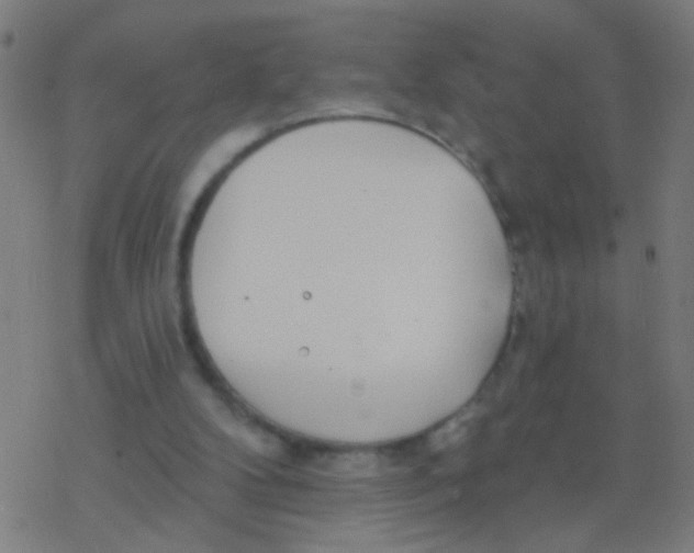 X0000077370104200611101714